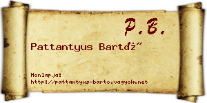 Pattantyus Bartó névjegykártya
